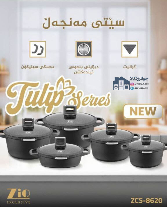 سرویس قابلمه 10 پارچه زیو سری ژولیپ مدل Zio ZCS-8620